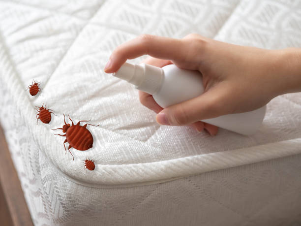 Best Local Pest Control Services  in , MS