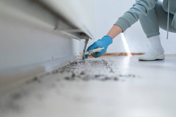 Best Affordable Pest Control Services  in , MS